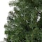 7ft. Unlit Northern Tip Pine Artificial Christmas Tree